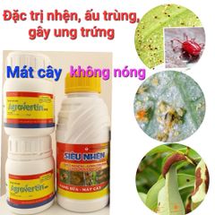 Diệt sạch nhện đỏ, nhện kháng, bọ trĩ, sâu ăn bông, mát bông, không nóng trái. gây ung trứng