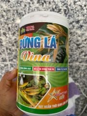 Đứng Lá Vina Ra bông đồng loạt - Xử lý ra bông trái vụ - Tăng tỉ lệ ra bông - Rút ngắn thời gian làm bông