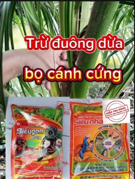 (Đuông dừa - Bọ cánh cứng) Thuốc trừ đuông dừa - bọ cánh cứng hại dừa, sieugon 85gr, rải siêu nhân 1kg