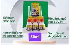 (Hộp 500g) Ra Hoa 10.60.10: giúp Vọt Hoa, Ra Hoa Đồng Loạt, Phân Hoá Mầm Hoa, Chống Nghẹn Đọt