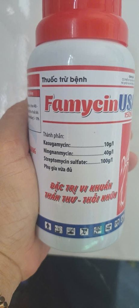 Famycin usa 150SC (15ml và 200ml): Đặc trị vi khuẩn gây thối nhũn, Thán thư - thối cuống, thối trái, thối nhũn, bạc lá, cháy bìa lá