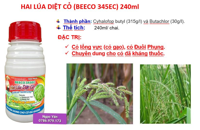 (240ml) Beeco 345 hiệu Hai lúa diệt cỏ 240ml: trừ cỏ lồng vực, cỏ đuôi phụng, cỏ gạo