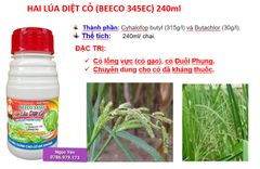 (240ml) Beeco 345 hiệu Hai lúa diệt cỏ 240ml: trừ cỏ lồng vực, cỏ đuôi phụng, cỏ gạo
