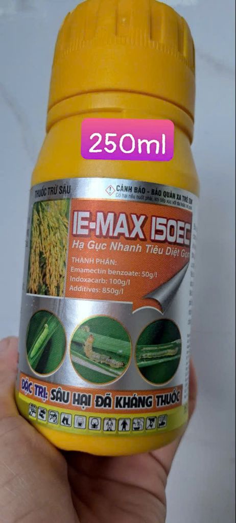Diệt sâu xanh da láng hại hành, diệt sâu ống hành (hành lá và hành tím) đã kháng thuốc