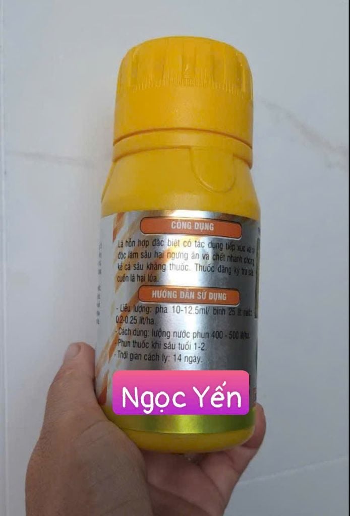 Diệt sâu xanh da láng hại hành, diệt sâu ống hành (hành lá và hành tím) đã kháng thuốc