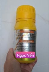 Diệt sâu xanh da láng hại hành, diệt sâu ống hành (hành lá và hành tím) đã kháng thuốc