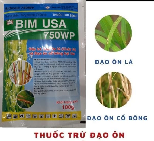 BIM USA 750WP đặc trị đạo ôn lá, đạo ôn cổ bông hại lúa - Gói 100gam