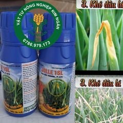 Jolle 1sl 100ml - Đặc trị bệnh vi khuẩn sọc lá và cháy lá, bệnh khô đầu lá hành