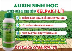 Phân bón KELPAK Auxins chiết xuất từ rong biển 500ml và 100ml –  Chống rụng hoa, chống rụng trái non sầu riêng