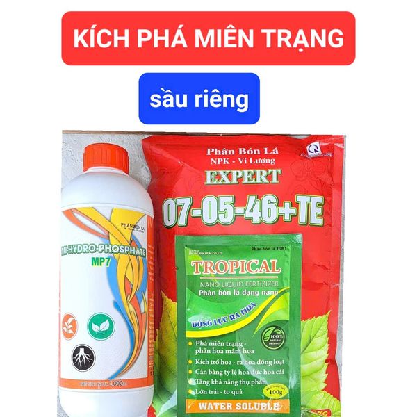 Kích phá niên trạng sầu riêng cực mạnh, đánh thức mần ngủ, siêu kích bông