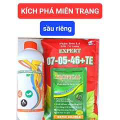 Kích phá niên trạng sầu riêng cực mạnh, đánh thức mần ngủ, siêu kích bông