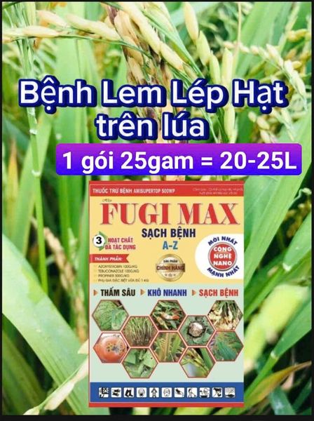 Phòng trừ bệnh vàng lá và lem lép hạt trên lúa
