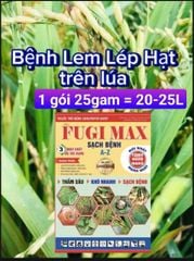 Phòng trừ bệnh vàng lá và lem lép hạt trên lúa