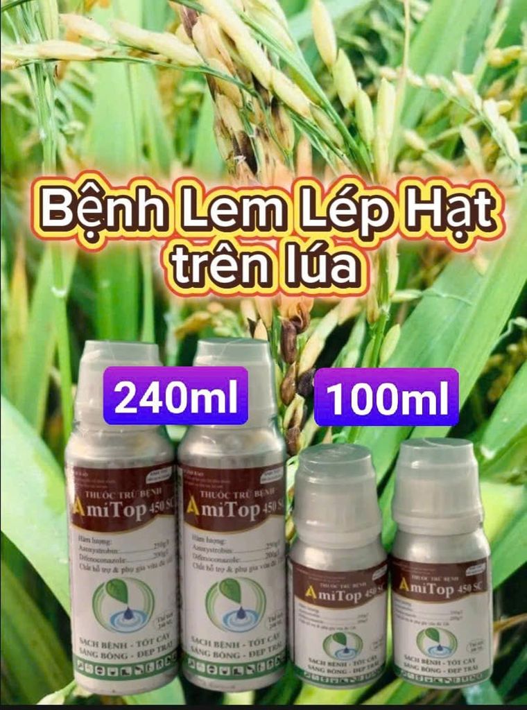 Phòng trừ bệnh vàng lá và lem lép hạt trên lúa