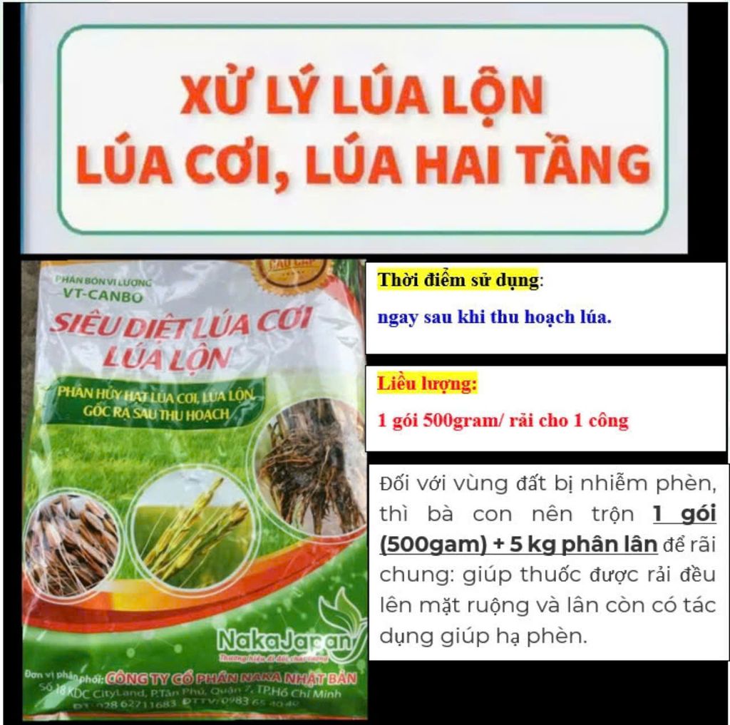 (500gam) Siêu diệt lúa lộn, trừ lúa cơi, diệt trừ lúa ma, xử lý lúa hai tầng lẫn trong ruộng lúa