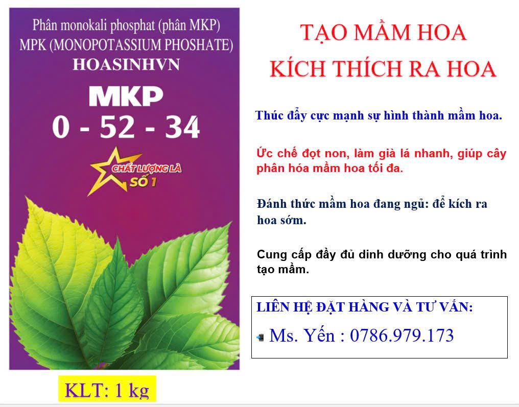 Phân bón MKP 1KG - 0-52-34: chuyên phân hoá mầm hoa- tạo mầm tốt- ra hoa mạnh