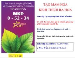 Phân bón MKP 1KG - 0-52-34: chuyên phân hoá mầm hoa- tạo mầm tốt- ra hoa mạnh