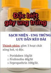 Đặc trị nhện đỏ - nhện gié, Vua nhện naka 240ml - Siêu nhện 450ml, Calicydan 150EW: sạch nhện, gây ung trứng, mát cây, mát bông