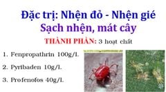Đặc trị nhện đỏ - nhện gié, Vua nhện naka 240ml - Siêu nhện 450ml, Calicydan 150EW: sạch nhện, gây ung trứng, mát cây, mát bông