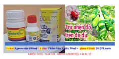 Phòng trừ nhện đỏ gây hại đu đủ - không nóng - phun được khi đu đủ có bông, có trái