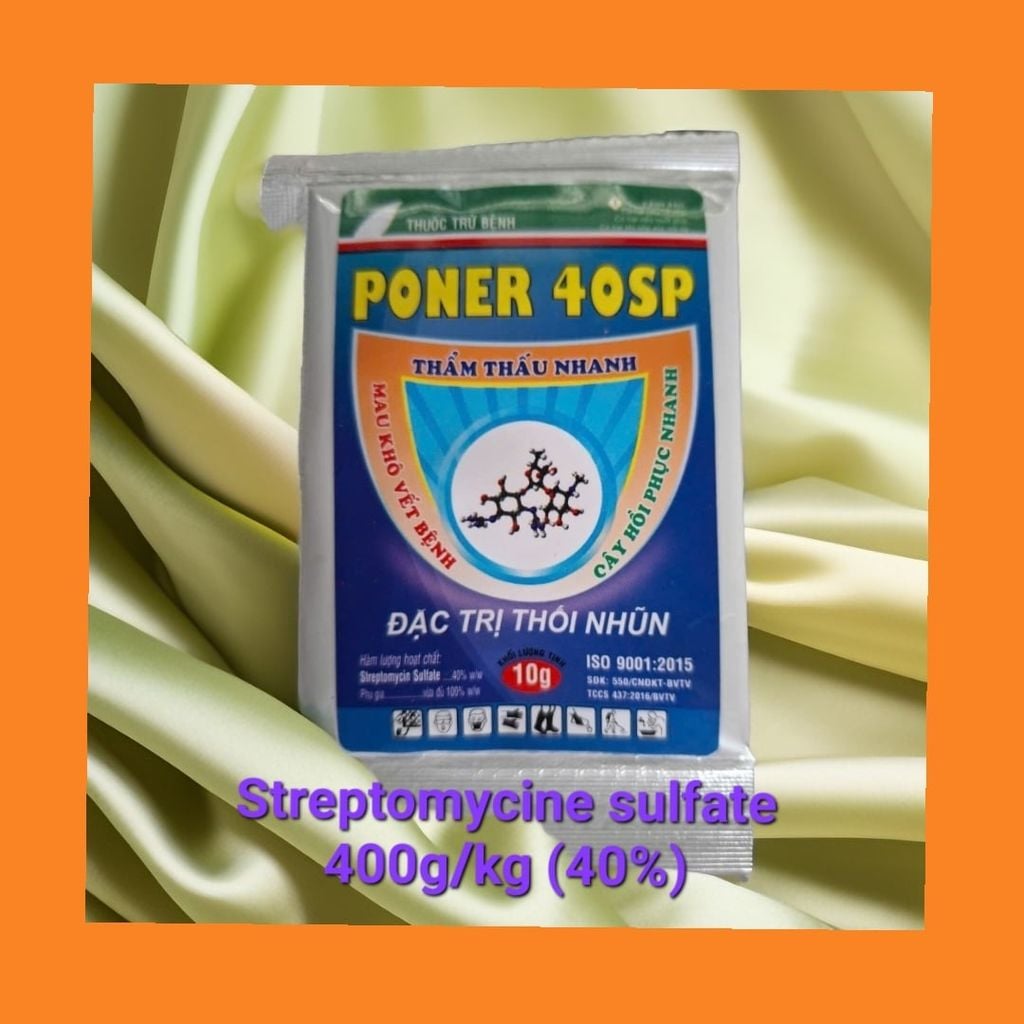 (gói 10gam) Gói poner 40sp chứa Streptomycine 400g/kg, Quản lý thối nhũn, thối rễ, thối thân, thối trái, cháy lá