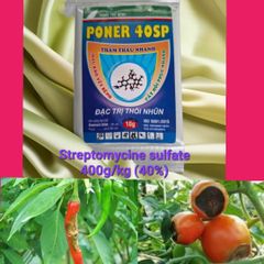 (gói 10gam) Gói poner 40sp chứa Streptomycine 400g/kg, Quản lý thối nhũn, thối rễ, thối thân, thối trái, cháy lá