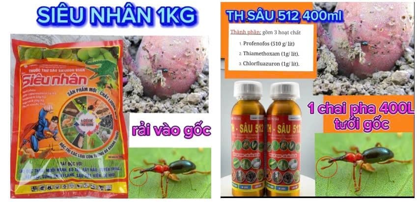 Thuốc Tưới Gốc, Rải Gốc Phòng Trị Sùng Hà, bọ Hà Trên Khoai Lang
