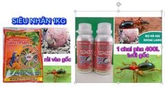 Thuốc Tưới Gốc, Rải Gốc Phòng Trị Sùng Hà, bọ Hà Trên Khoai Lang