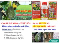 Thuốc trị rệp sáp mít, sâu đục thân và trị sâu đục trái mít