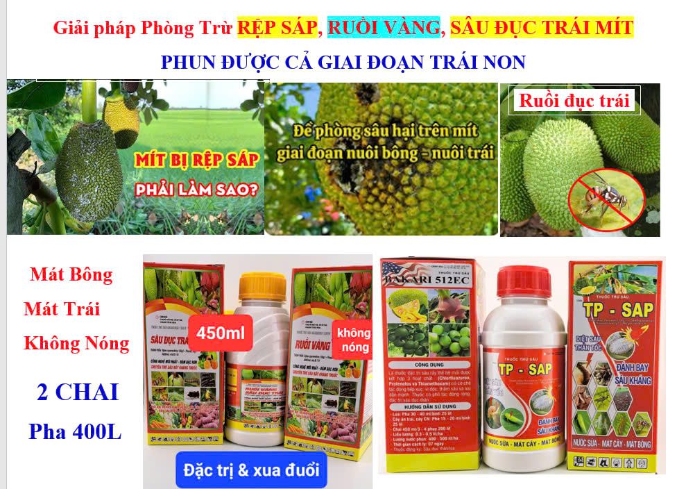 Thuốc trị rệp sáp mít, sâu đục thân và trị sâu đục trái mít