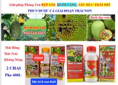 (Lớn trái mít, Sâu đục trái mít, Rệp sáp mít) Phân thúc lớn trái mít, nặng ký và phòng trị sâu đục trái mít, trừ rệp sáp mít không gây nóng trái