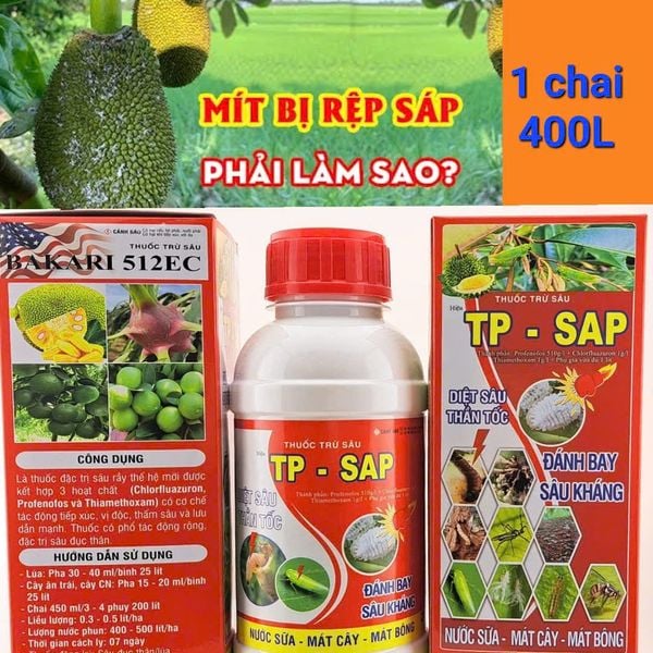 Thuốc đặc trị rệp sáp mít