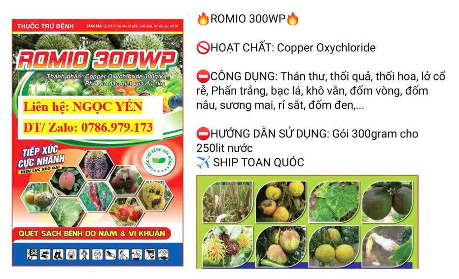 (300gam)Thuốc trừ bệnh gốc đồng Romio 300WP : Copper Oxychloride: trị rỉ sắt, nấm hồng, tảo đỏ, mốc sương, đốm lá