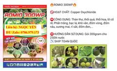 (300gam)Thuốc trừ bệnh gốc đồng Romio 300WP : Copper Oxychloride: trị rỉ sắt, nấm hồng, tảo đỏ, mốc sương, đốm lá