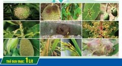 Thuốc trừ bệnh sạch bệnh 1102 1 lít - Grandgold 80sc 1 lít -   1 lít:  đặc trị nấm bệnh, vàng lá, khô vằn, nấm hồng trên sầu riêng