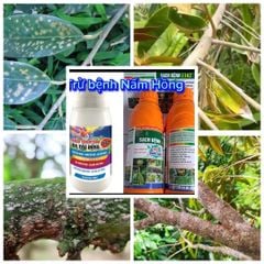 Trừ bệnh nấm hồng trên sầu riêng, nấm hồng gây hại cây cà phê, nấm hồng trên chanh, cam, quýt, bưởi, hiệu sạch bệnh 1102 1L phun 400-600L nước