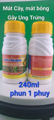 (Trừ nhện cây đào) Phòng trừ nhện đỏ, gây ung trứng nhện trên cây đào, không nóng, mát cây, mát bông