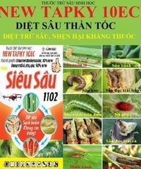 (20ml) Newtapky 10ec, Siêu Sâu 1102 20ml, new tapky 10EC: đặc trị sâu cuốn lá, muỗi hành, nhện gié, Sâu ăn Đọt Rau Màu, Hoa Kiểng, sâu đục thân bắp