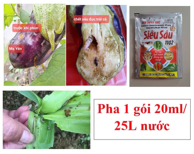 (20ml) Newtapky 10ec, Siêu Sâu 1102 20ml, new tapky 10EC: đặc trị sâu cuốn lá, muỗi hành, nhện gié, Sâu ăn Đọt Rau Màu, Hoa Kiểng, sâu đục thân bắp
