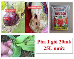 (20ml) Newtapky 10ec, Siêu Sâu 1102 20ml, new tapky 10EC: đặc trị sâu cuốn lá, muỗi hành, nhện gié, Sâu ăn Đọt Rau Màu, Hoa Kiểng, sâu đục thân bắp