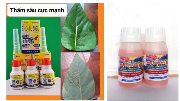 Thấm sâu 1 giây, siêu trợ lực 250ml, loang trải đều, thấm sâu nhanh