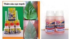 Thấm sâu 1 giây, siêu trợ lực 250ml, loang trải đều, thấm sâu nhanh
