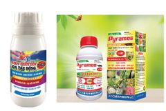 PYRAMOS 40SL 1102 450ml: phòng trừ thán thư, mốc sương, thối trái, ghẻ trái, sơ đen mít, bạc lá