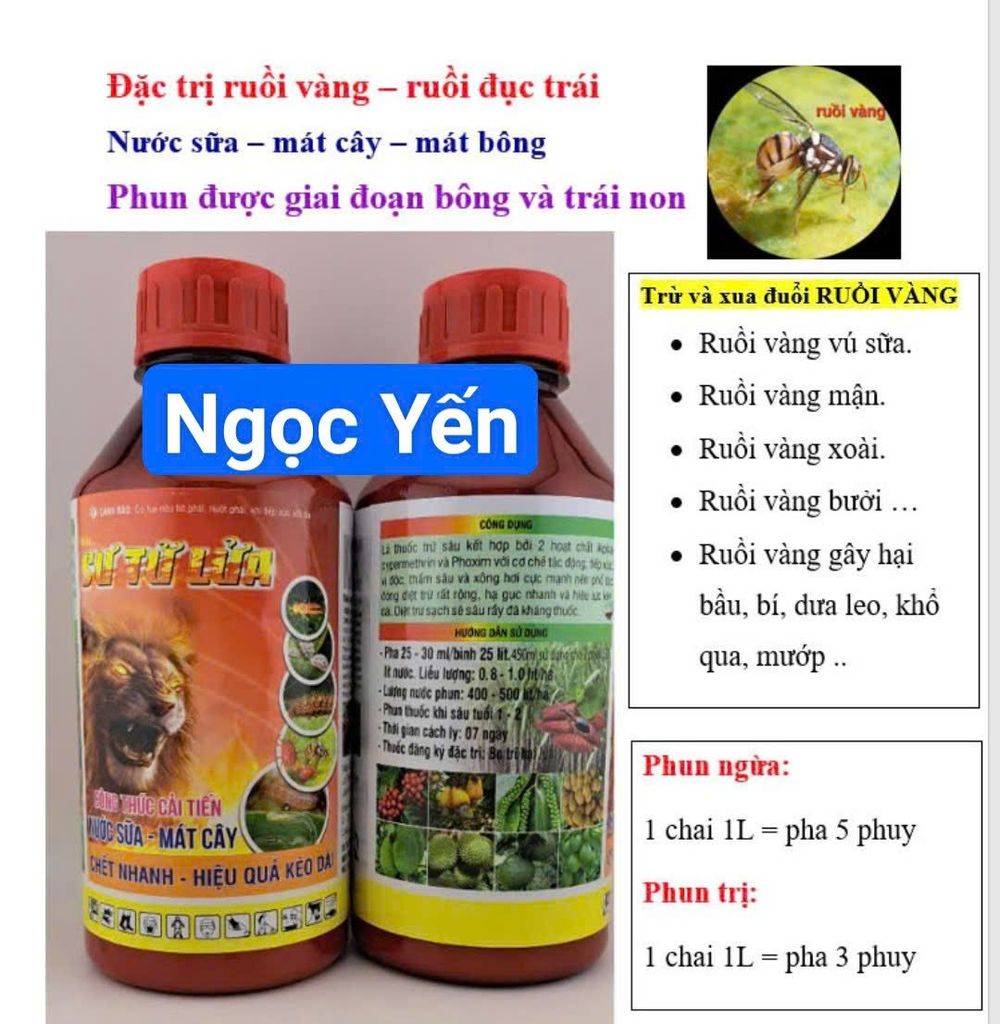 Thuốc trị ruồi vàng cây vú sữa, ruồi vàng xoài, ruồi vàng mận, ruồi vàng hại mướp, ớt, khổ qua, bầu bí, dưa leo