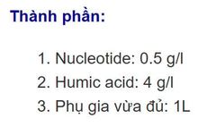 (240ml) Chất điều hòa sinh trưởng Subaygold 4.55L: chuyên dùng cho lúa ra rễ mạnh, đẻ nhánh khỏe, nở bụi, kích trổ đồng loạt, vô gạo nhanh