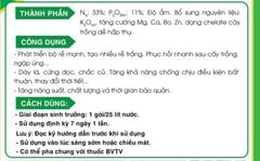 Phân bón đa lượng EV10: tăng trưởng hành lá, củ hành tím, tăng trưởng lá hẹ- TỎI - CỦ KIỆU 50gam