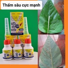 Thuốc trừ bệnh thối nhũn trên cây Hành