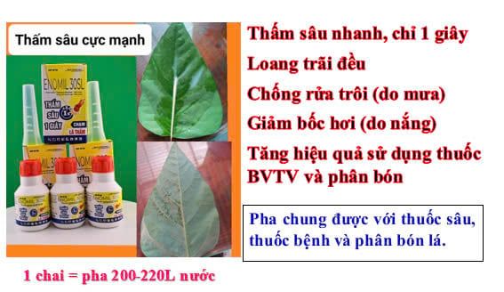 (50ml) Thấm Sâu 1 Giây, Enomil Thấm sâu cực nhanh, chạm là thấm, Trợ Lực Nông Nghiệp, Loang Trải Nhanh