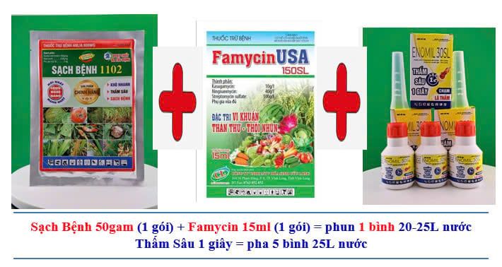 Thuốc trừ bệnh thối nhũn trên cây Hành