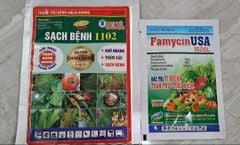 Thuốc trừ bệnh thối nhũn trên cây Hành